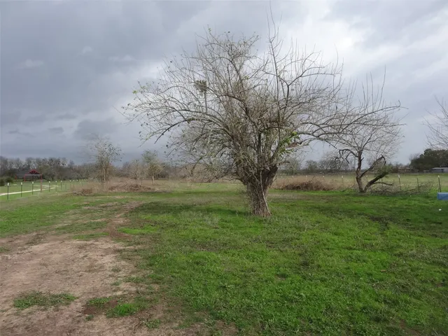 a view of outdoor space and yard