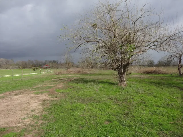 a view of outdoor space with trees all around