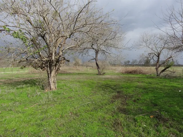a view of a field with an trees