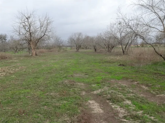 a view of a field with trees