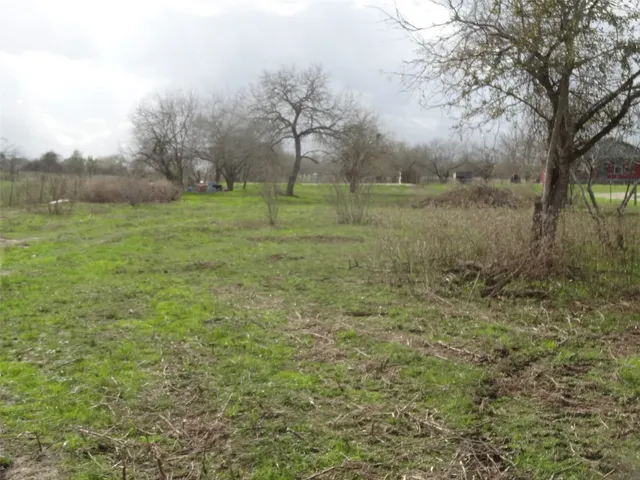 a view of a yard with an trees