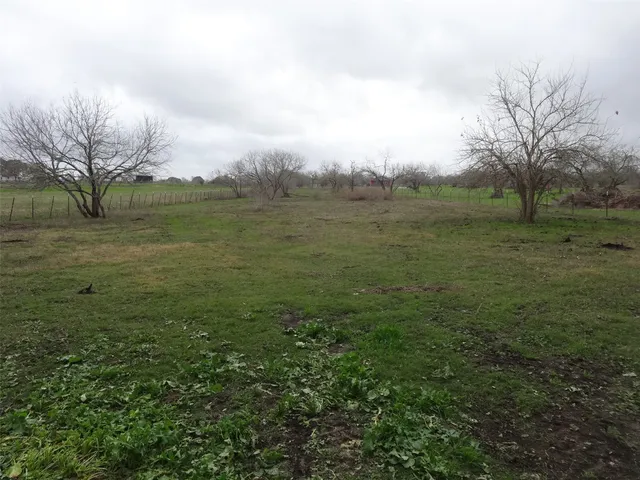 a view of a field with an trees