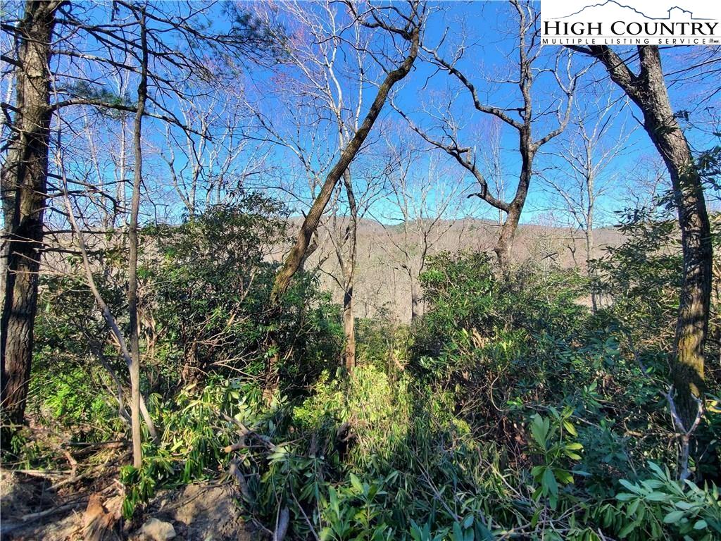 7280 Knoll Road Newland, NC 28657 - Photo 2 of 12 Gallery Image 2