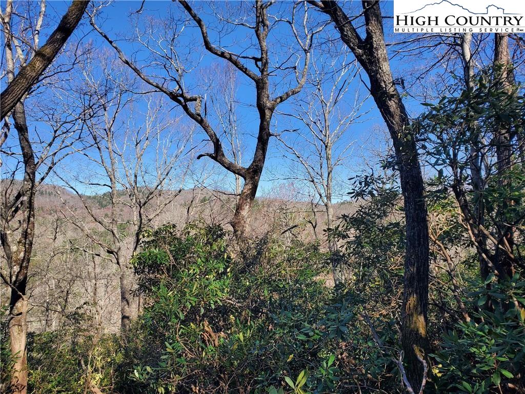 7280 Knoll Road Newland, NC 28657 - Photo 3 of 12 Gallery Image 3