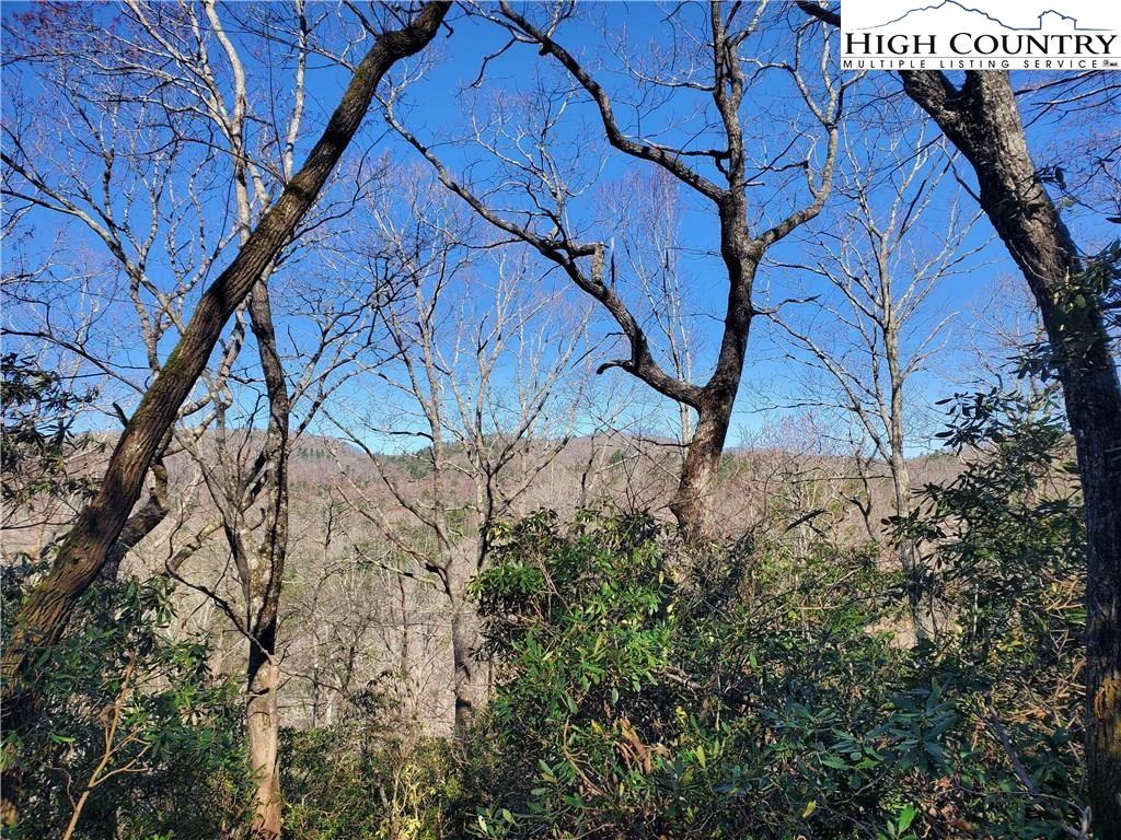 7280 Knoll Road Newland, NC 28657 - Photo 5 of 12 Gallery Image 5