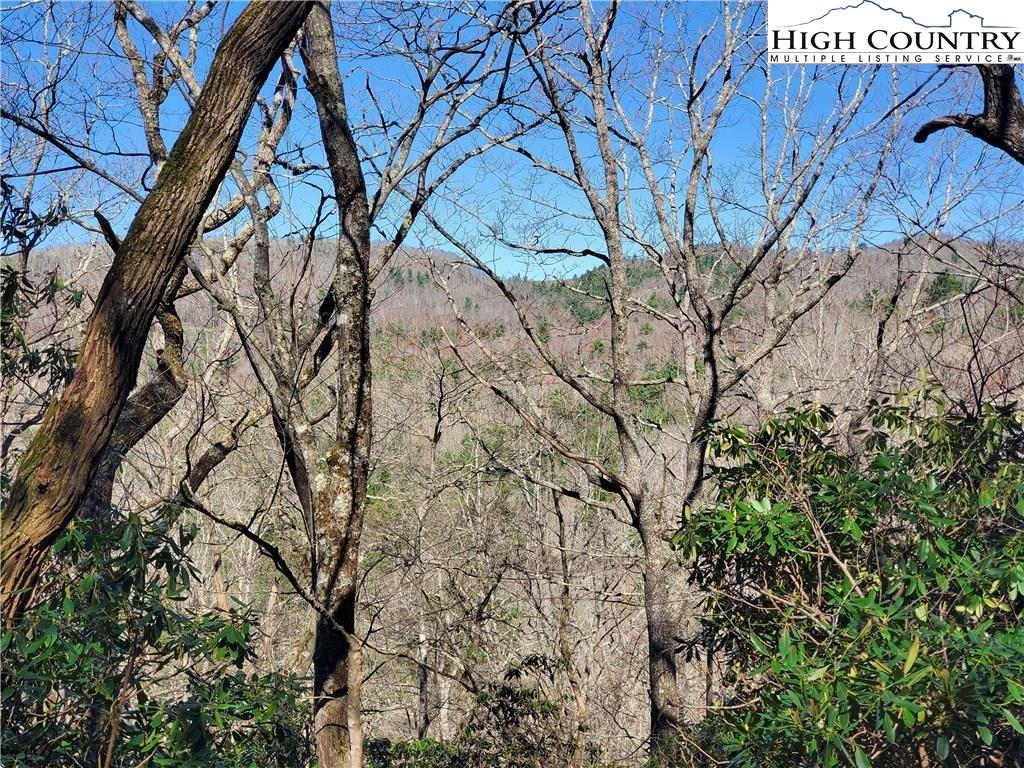 7280 Knoll Road Newland, NC 28657 - Photo 7 of 12 Gallery Image 7
