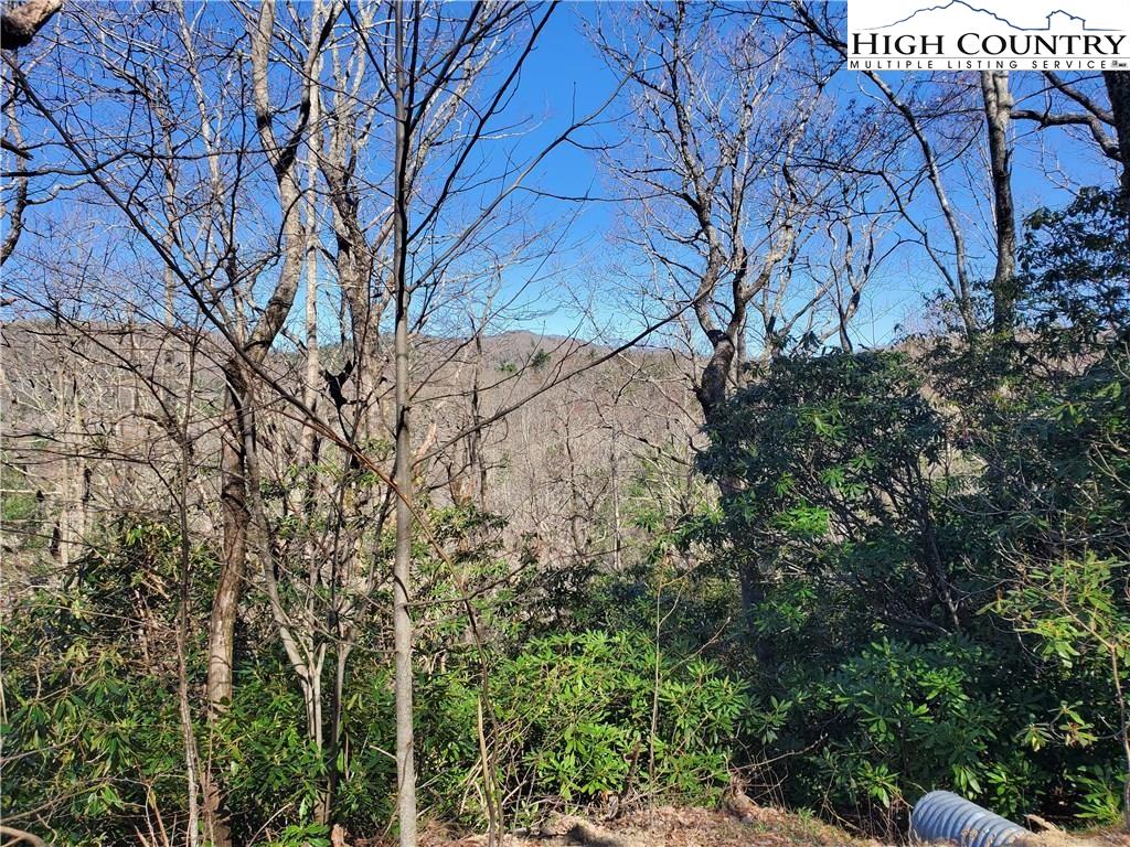 7280 Knoll Road Newland, NC 28657 - Photo 8 of 12 Gallery Image 8