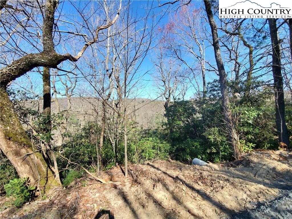 7280 Knoll Road Newland, NC 28657 - Photo 9 of 12 Gallery Image 9