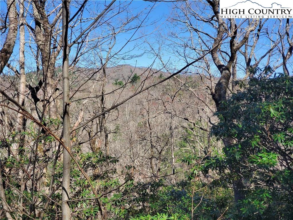 7280 Knoll Road Newland, NC 28657 - Photo 10 of 12 Gallery Image 10