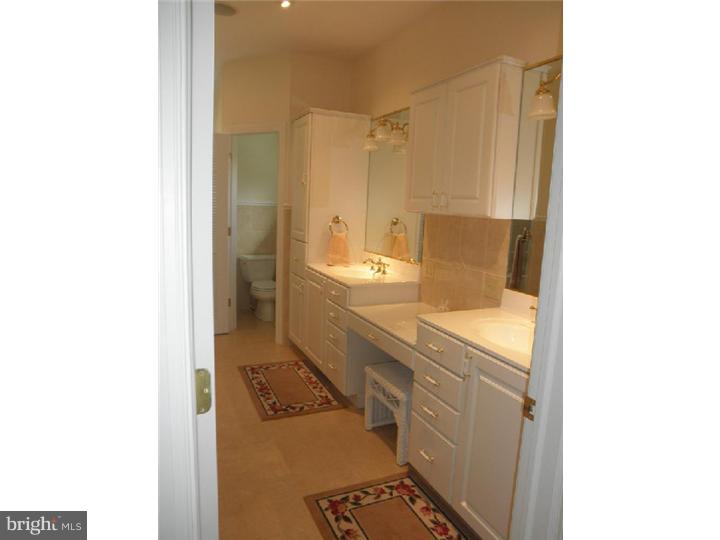 8806 Mountain Road Alburtis, PA 18011 - Photo 18 of 25 Master Bathroom