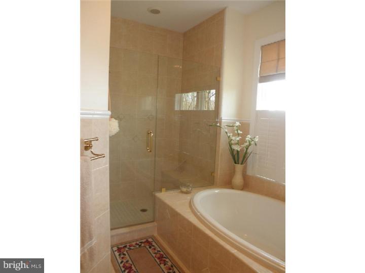 8806 Mountain Road Alburtis, PA 18011 - Photo 19 of 25 Master Bathroom