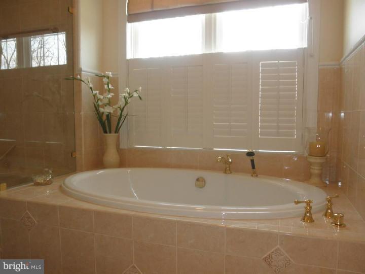 8806 Mountain Road Alburtis, PA 18011 - Photo 20 of 25 Master Bathroom