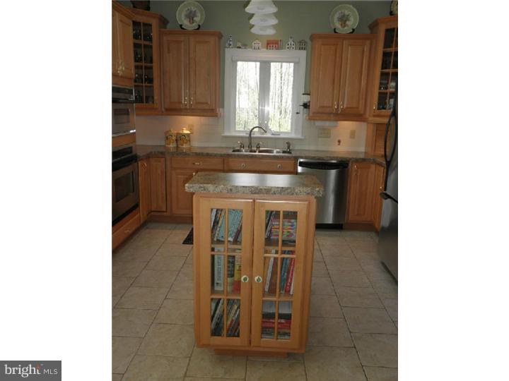 8806 Mountain Road Alburtis, PA 18011 - Photo 3 of 25 Kitchen