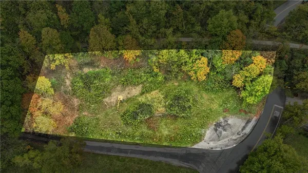 a view of a yard