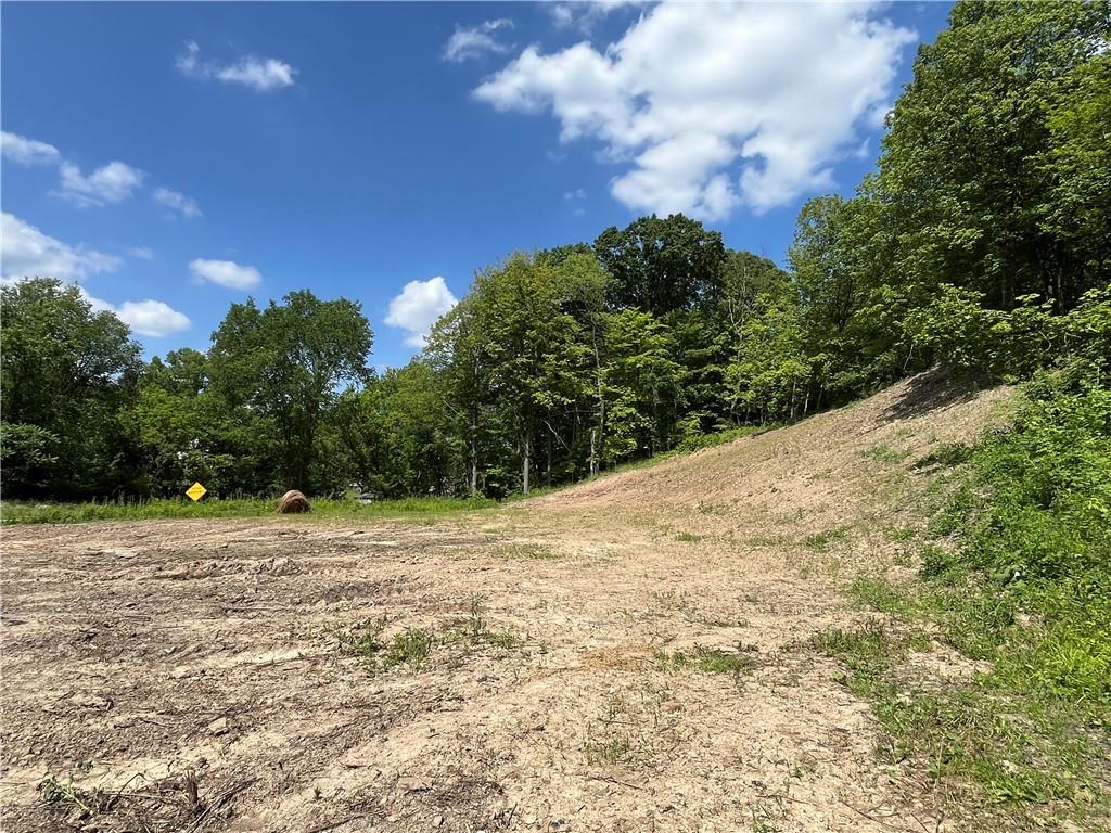 371 North Star Road Imperial, PA 15126 - Photo 12 of 37 a view of empty field with trees in background