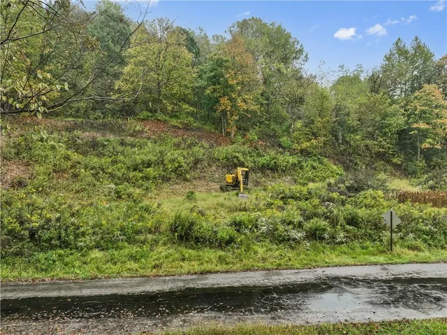 a view of a yard with plants and a bench