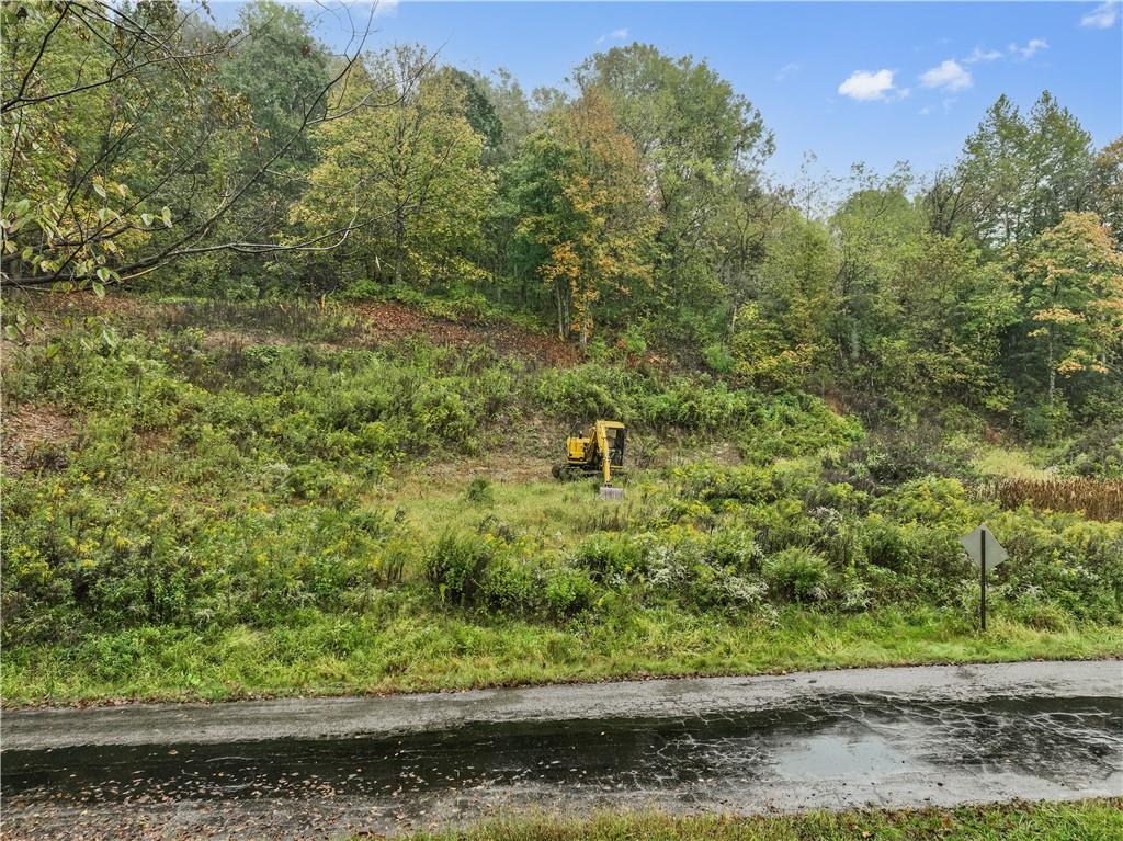 371 North Star Road Imperial, PA 15126 - Photo 19 of 37 a view of a yard with large trees