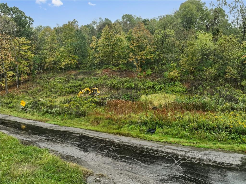 371 North Star Road Imperial, PA 15126 - Photo 20 of 37 a view of a yard with a tree
