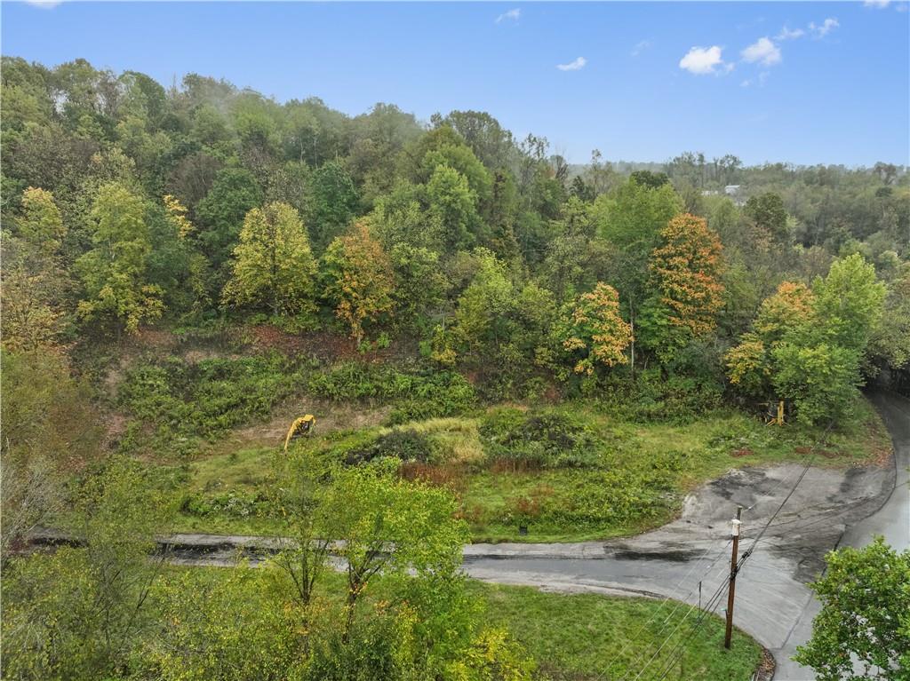 371 North Star Road Imperial, PA 15126 - Photo 22 of 37 a view of a yard