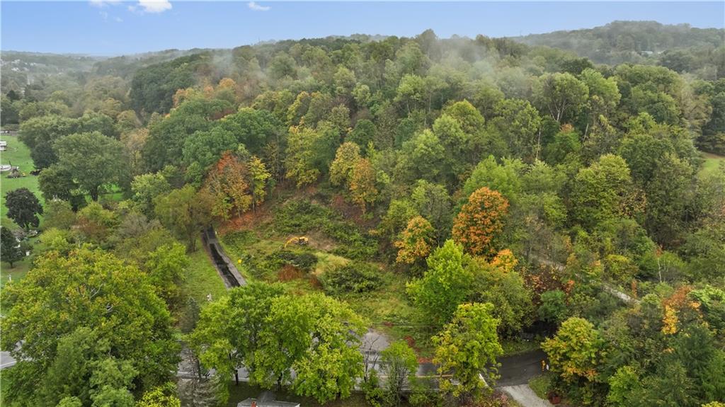 371 North Star Road Imperial, PA 15126 - Photo 23 of 37 a view of a forest with a mountain