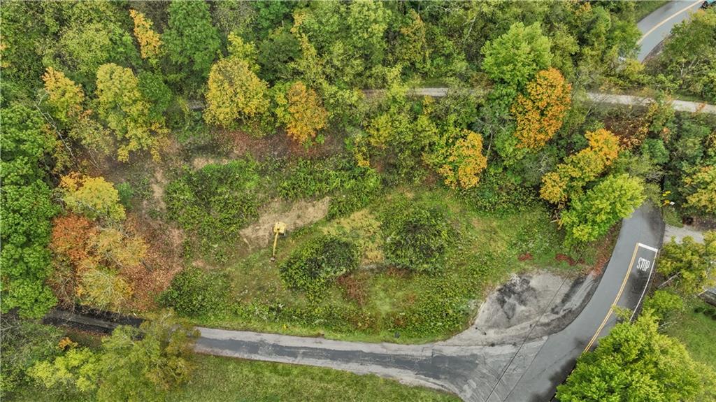 371 North Star Road Imperial, PA 15126 - Photo 24 of 37 a view of a yard