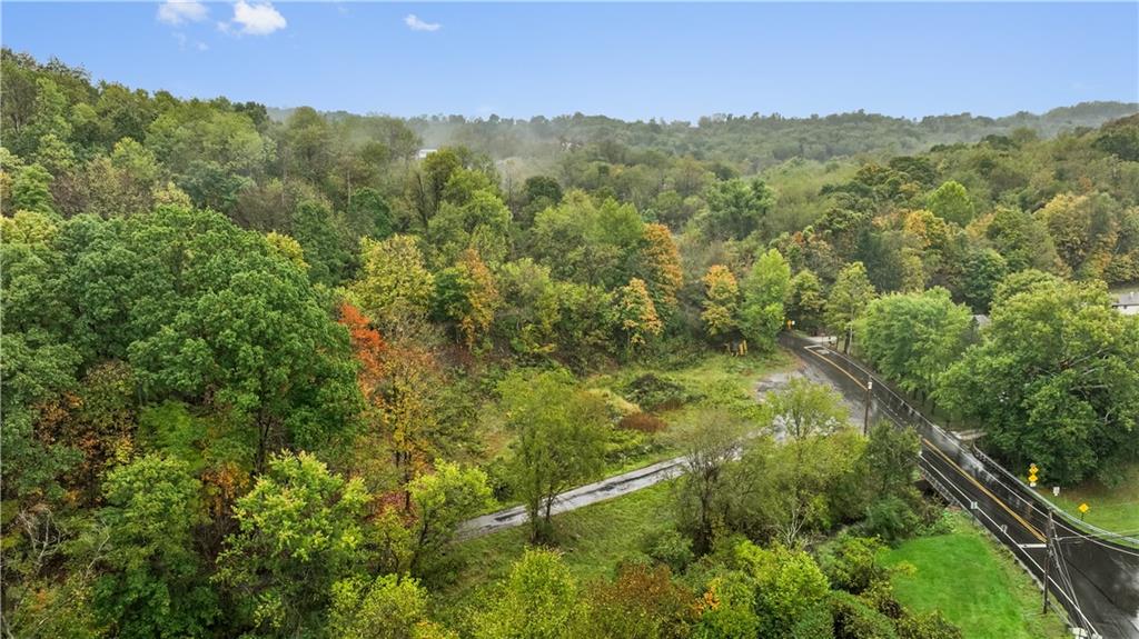 371 North Star Road Imperial, PA 15126 - Photo 26 of 37 a view of a lush green forest with a street