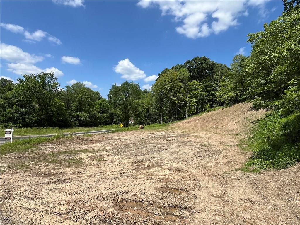 371 North Star Road Imperial, PA 15126 - Photo 3 of 37 a view of a yard with a tree