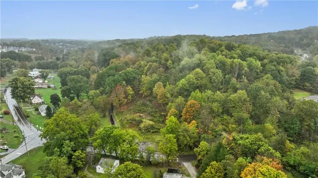 a view of a lush green forest with mountains in the background