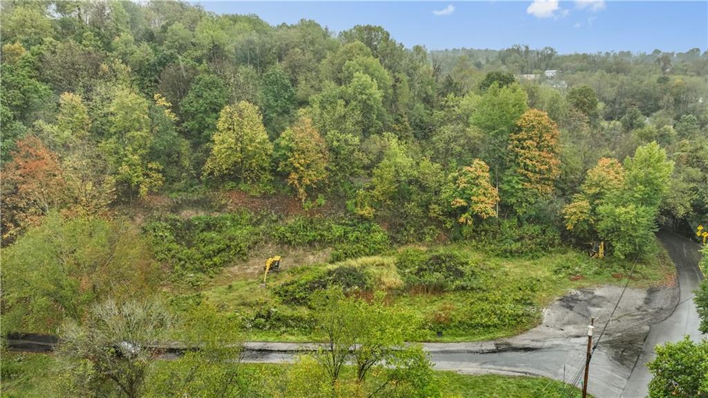 371 North Star Road Imperial, PA 15126 - Photo 35 of 37 a view of a forest with a yard