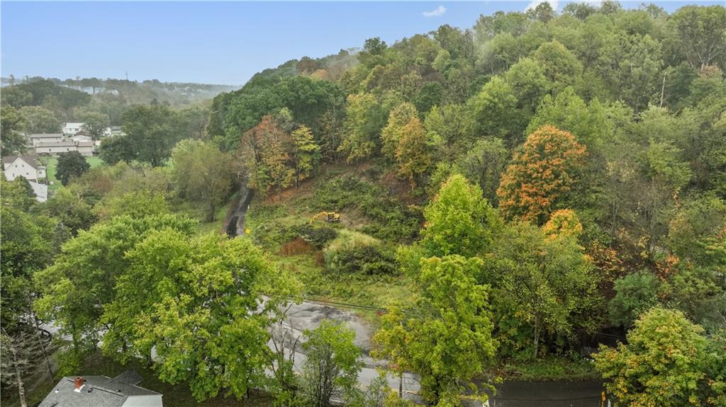 371 North Star Road Imperial, PA 15126 - Photo 36 of 37 a view of a forest with an trees