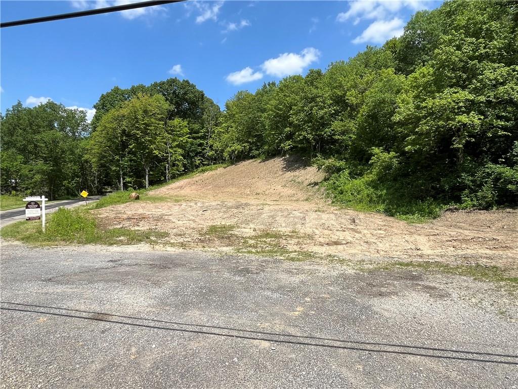 371 North Star Road Imperial, PA 15126 - Photo 7 of 37 a view of a yard with plants