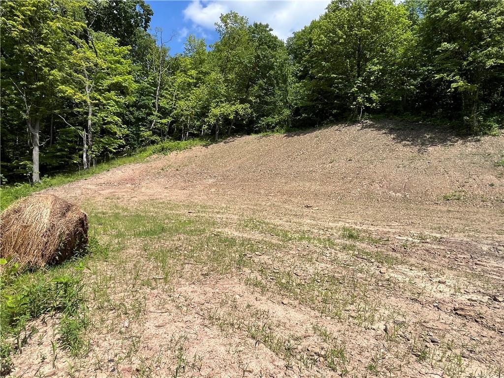 371 North Star Road Imperial, PA 15126 - Photo 9 of 37 a view of empty yard with trees