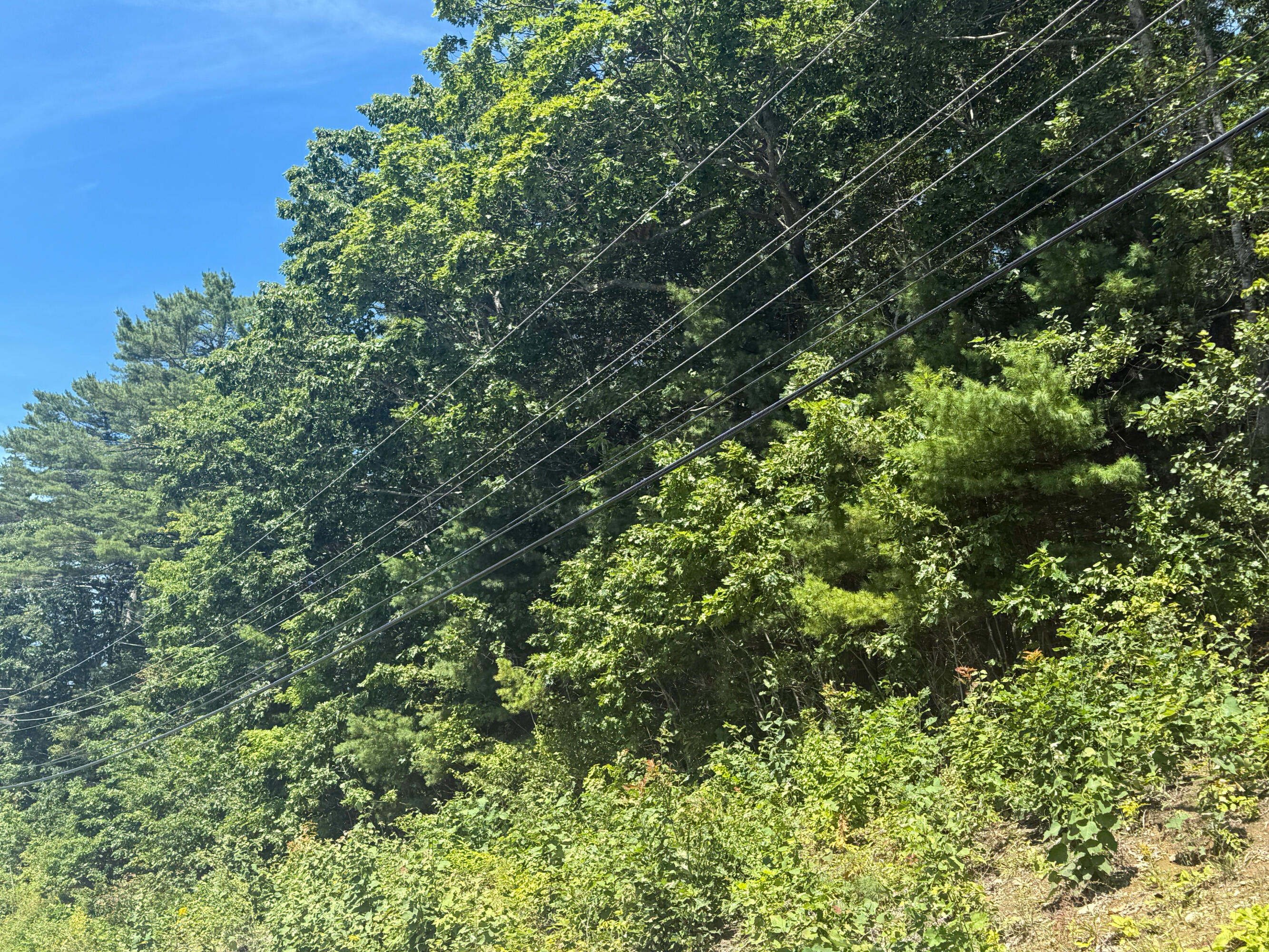 0 Robbins Road Belfast, ME 04915 - Photo 5 of 18 IMG_1059 (1)