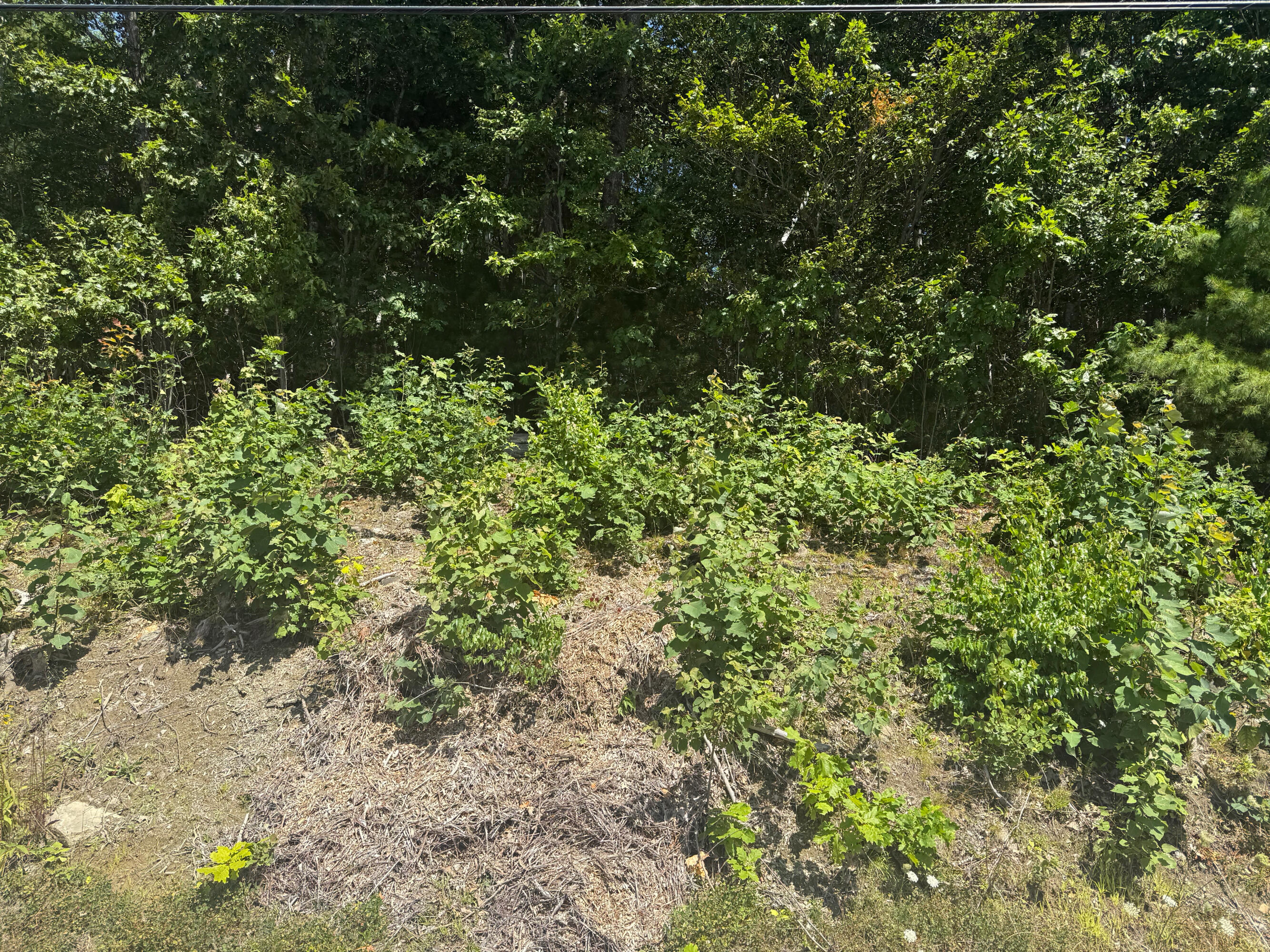 0 Robbins Road Belfast, ME 04915 - Photo 8 of 18 IMG_1057 (1)