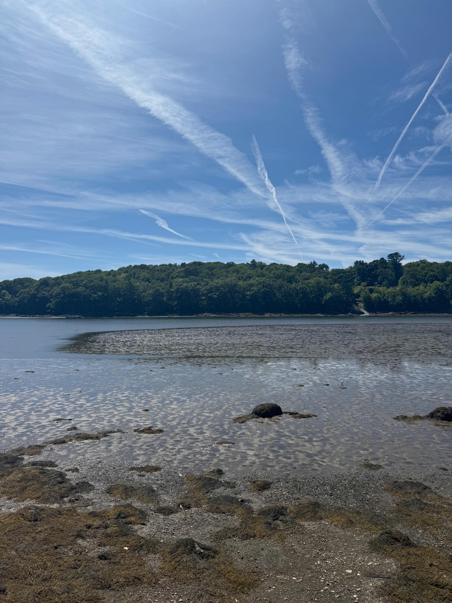 0 Robbins Road Belfast, ME 04915 - Photo 9 of 18 IMG_1054 (1)