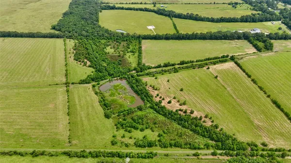 a view of a yard