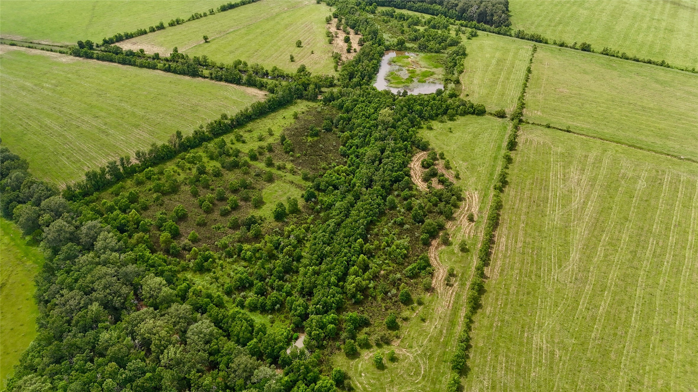 31100 Old Sour Lake Road Sour Lake, TX 77659 - Photo 12 of 32 a view of a yard