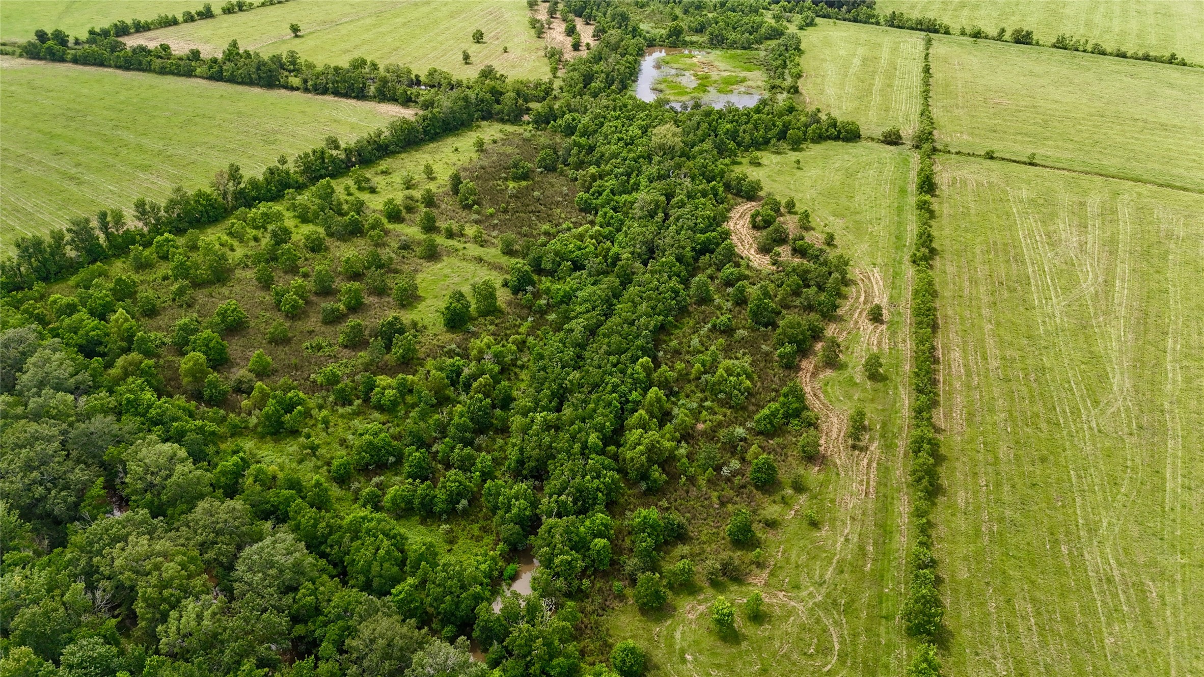 31100 Old Sour Lake Road Sour Lake, TX 77659 - Photo 13 of 32 a view of a yard and an ocean view