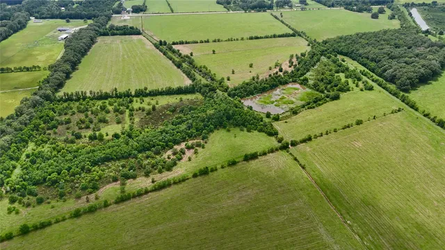 a view of a lake with a yard and large trees