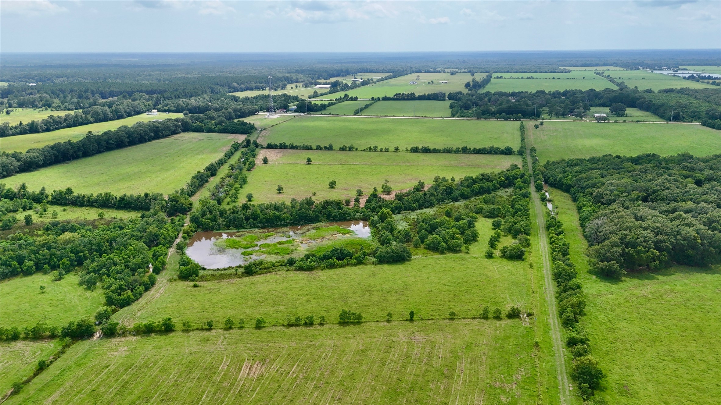 31100 Old Sour Lake Road Sour Lake, TX 77659 - Photo 17 of 32 an aerial view of green landscape with trees houses and lake view