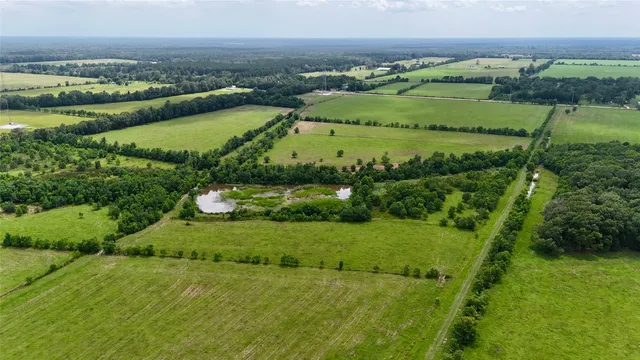 a view of a lush green forest with a lake and trees