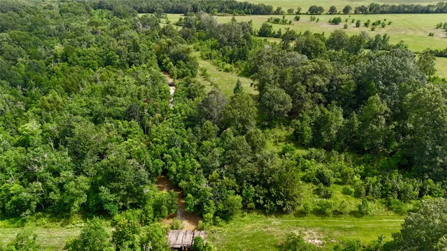 an aerial view of residential houses with outdoor space and trees