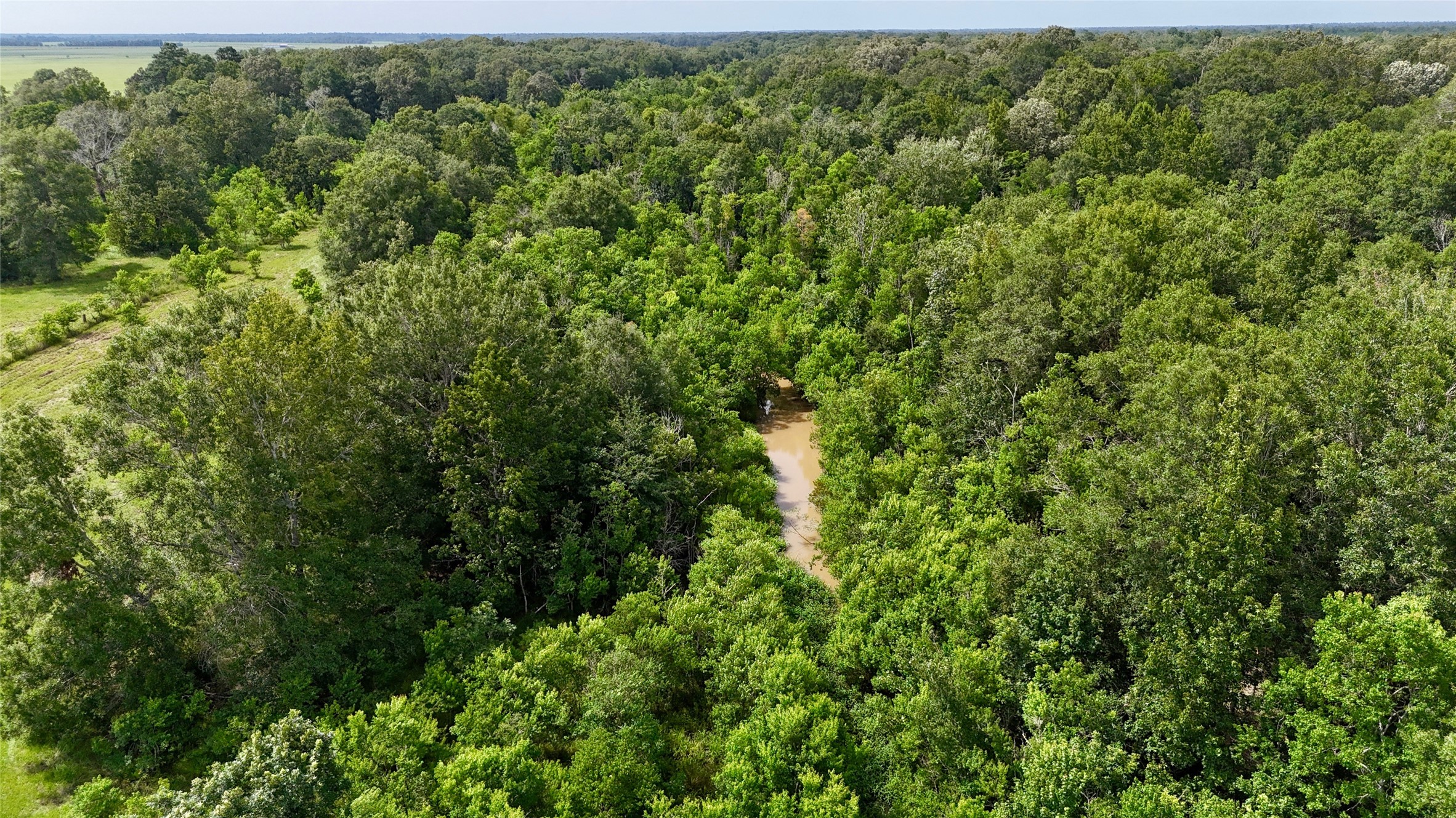 31100 Old Sour Lake Road Sour Lake, TX 77659 - Photo 2 of 32 a view of a large yard with lots of green space