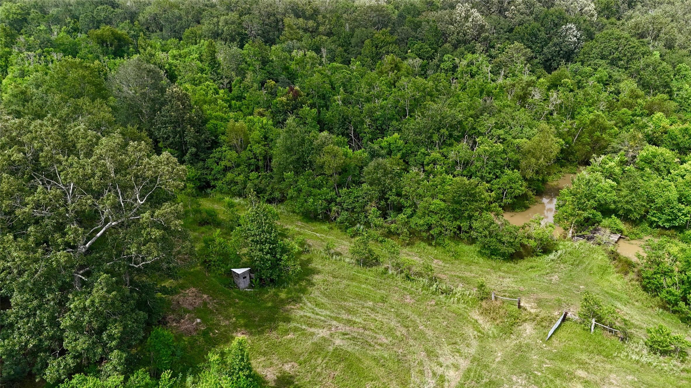 31100 Old Sour Lake Road Sour Lake, TX 77659 - Photo 22 of 32 a view of a lush green forest