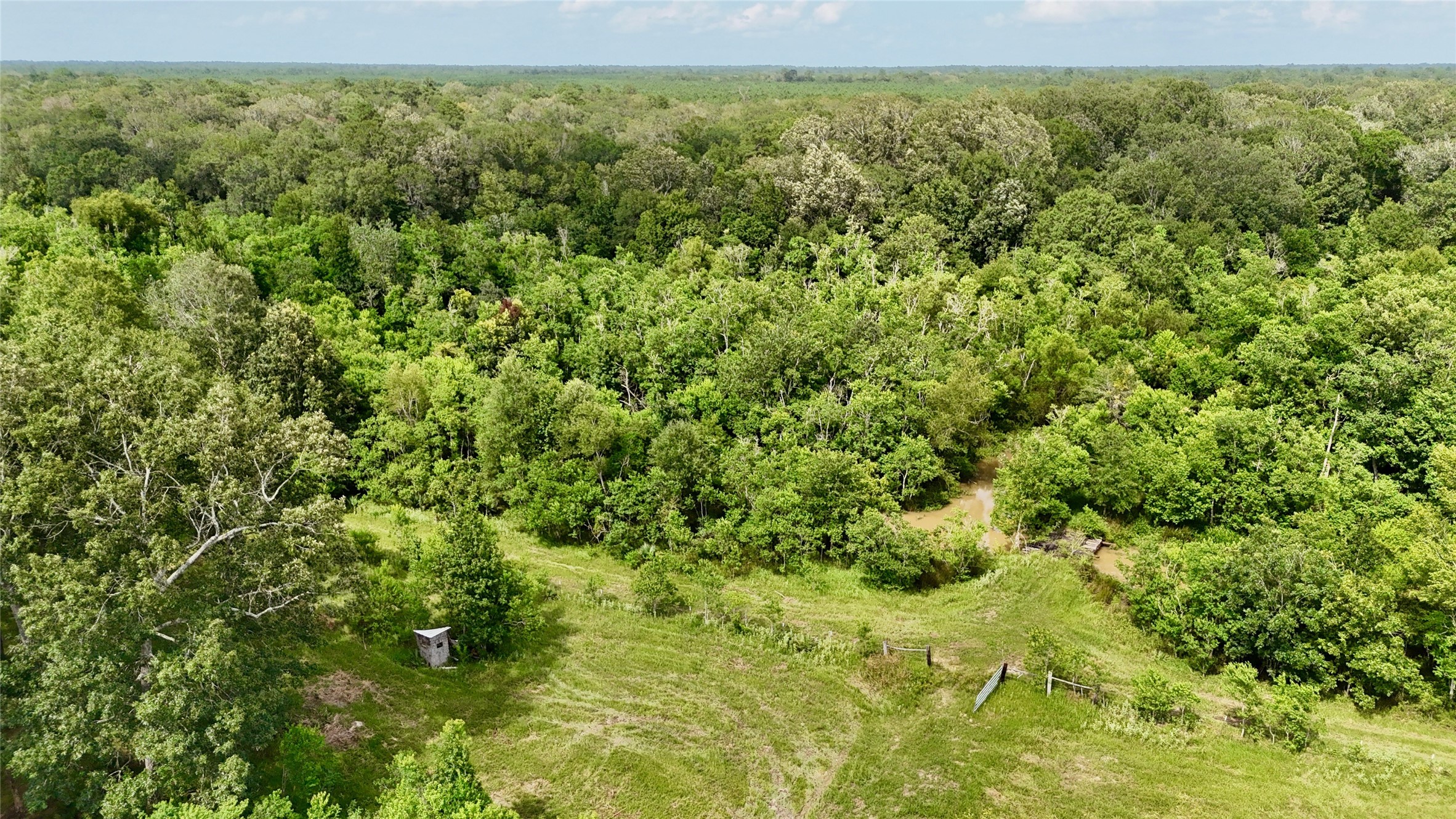 31100 Old Sour Lake Road Sour Lake, TX 77659 - Photo 23 of 32 a view of a lush green forest with a lush green forest