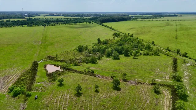 a view of a garden with a lake
