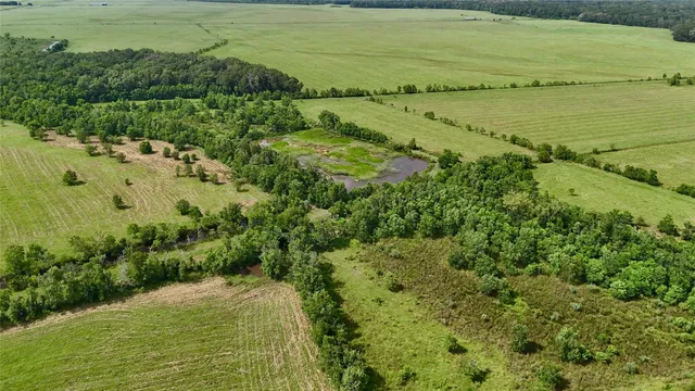 a view of an ocean from a yard