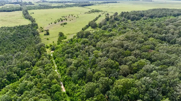 a view of a water pond with green field