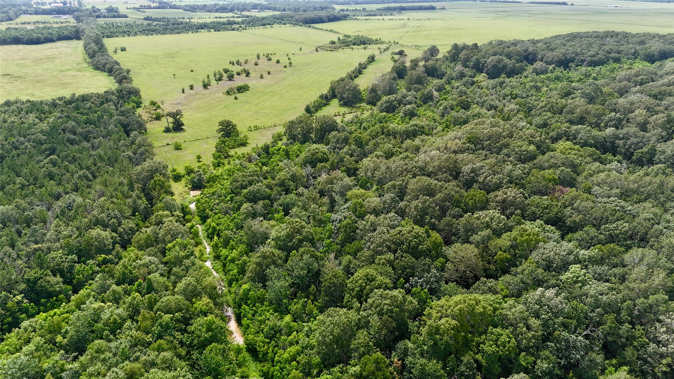 31100 Old Sour Lake Road Sour Lake, TX 77659 - Photo 3 of 32 a view of a water pond with green field