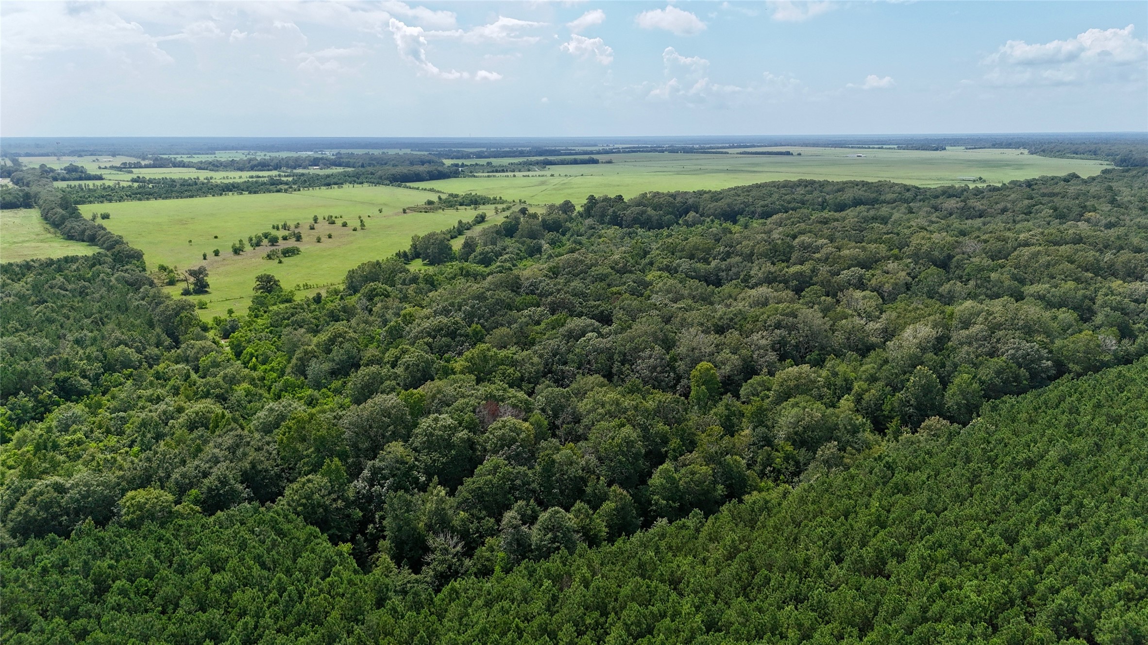 31100 Old Sour Lake Road Sour Lake, TX 77659 - Photo 4 of 32 a view of a field with an ocean view